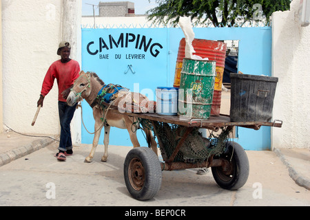 La collecte de déchets avec âne tirant la poussière panier à Nouadhibou / Nawadhibu, anciennement Port-Étienne, Mauritanie, Afrique Banque D'Images