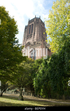 Le centre-ville de Liverpool St James' jardin et Anglican Cathedral Banque D'Images