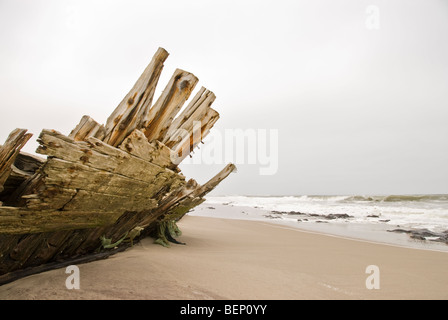 Coup sur la Skeleton Coast, Namibie, Afrique. Banque D'Images