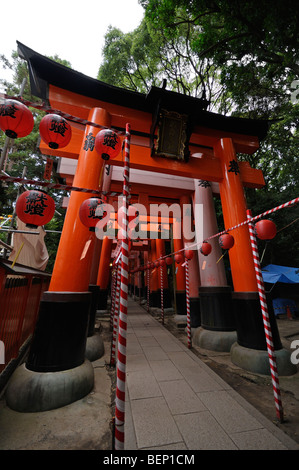 Doublure de Torii sentier. Fushimi Inari Taisha (aka Fushimi Inari). Le protocole de Kyoto. Kansai. Le Japon Banque D'Images