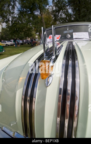 Custom car show High Springs Florida Banque D'Images