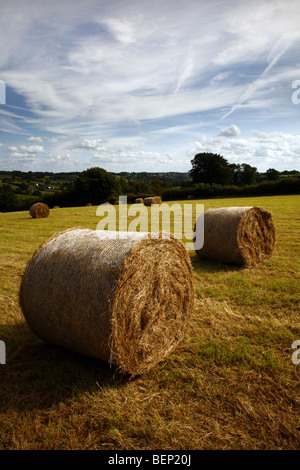 Les balles rondes de foin, paille, près de Fenny Bentley, parc national de Peak District, Derbyshire, Royaume-Uni, Angleterre Banque D'Images