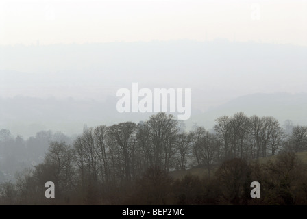 Leigh Woods, Ashton Court Estate, Bristol, Royaume-Uni. Banque D'Images