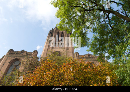 Le centre-ville de Liverpool St James' jardin et Anglican Cathedral Banque D'Images