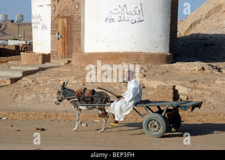 Dans l'homme nubien thawb / thobe / dishdasha sur chariot tiré par l'âne (Equus asinus), Wadi Halfa, Soudan, Afrique du Nord Banque D'Images