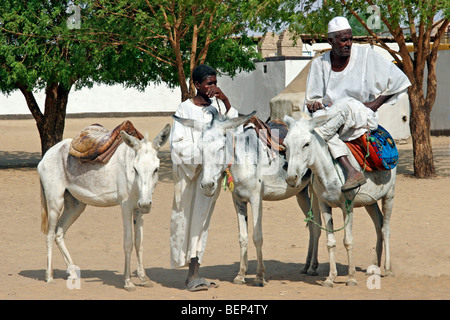 Dans l'homme nubien thawb / thobe / dishdasha sur l'âne (Equus asinus), Soudan, Afrique du Nord Banque D'Images