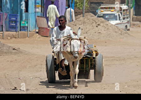 L'homme sur chariot tiré par l'âne (Equus asinus) dans le village, le Soudan, l'Afrique du Nord Banque D'Images