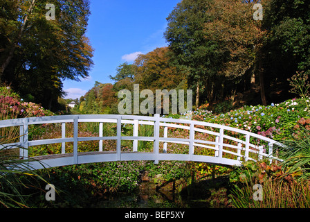 Le 'Blue bridge ' à trebah gardens à mawnen Smith à Cornwall, uk Banque D'Images