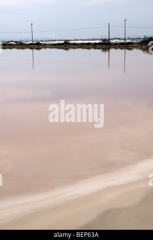 Le Salinas de San Pedro del Pinatar (Parque Regional de Salinas y Arenales de San Pedro) est maintenant un parc naturel protégé, Espagne Banque D'Images