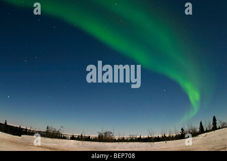 Northern Lights, aurora borealis, éclat vert au-dessus de la toundra du nord du Manitoba au cours d'un mois de février glacial. Banque D'Images