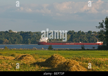 D'un cargo naviguant sur le fleuve Saint-Laurent, au Québec, Canada Banque D'Images