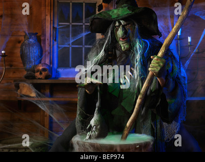 Licence disponible à MaximImages.com - sorcière effrayante d'un vieux rat ajoutant un chou-fleur avec sa potion à l'intérieur de sa cabine sur Halloween Banque D'Images