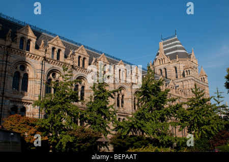 Natural History Museum, South Kensington, Londres Banque D'Images