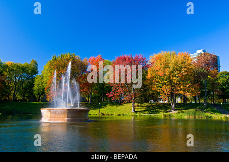 Automne Parc Lafontaine Montréal Canada Banque D'Images