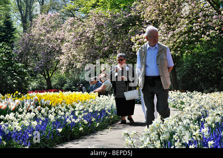 Personnes âgées touristes marcher parmi les jacinthes coloré et des jonquilles dans le jardin de fleurs de Keukenhof, lisse, la Hollande, les Pays-Bas Banque D'Images