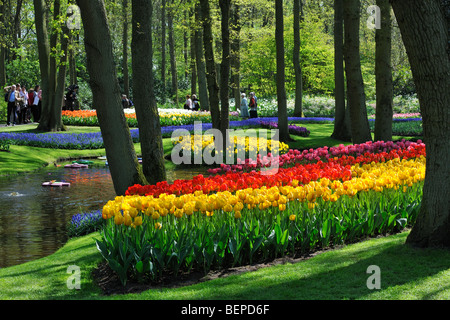 Les touristes marche chez les tulipes colorées, jacinthes et jonquilles en fleurs jardin de Keukenhof, lisse, la Hollande, les Pays-Bas Banque D'Images