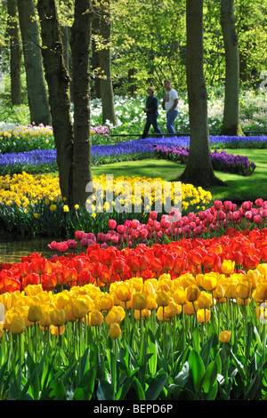 Les touristes marche chez les tulipes colorées, jacinthes et jonquilles en fleurs jardin de Keukenhof, les Pays-Bas Banque D'Images