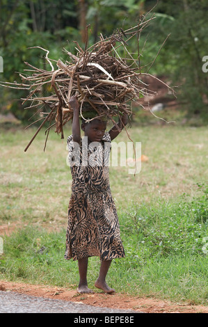 L'Ouganda Girl transporter le bois sur sa tête, le district de Mukono. PHOTO par SEAN SPRAGUE Banque D'Images