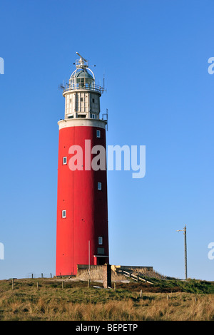 Le phare rouge De Cocksdorp Eierland dans les dunes sur l'île Texel, Pays-Bas Banque D'Images