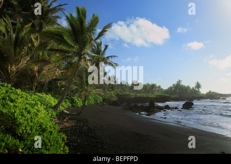 Plage de sable noir de Hana Bay sur la côte nord-est de Maui, dans la ville de Hana. Banque D'Images