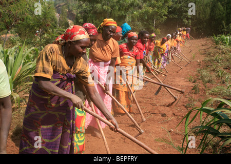 BURUNDI Agakura, un projet agricole de la jeunesse en Gitera. Groupe d'agriculteurs qui sont associés à des travaux d'Agakura sur Banque D'Images