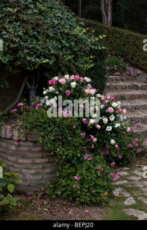 Décoration florale dans une villa italienne de luxe Banque D'Images