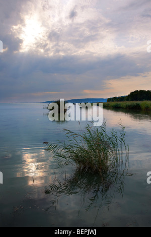 Lac Balaton de Szigliget marina au coucher du soleil - Hongrie Banque D'Images