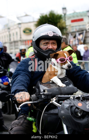 L'assemblée annuelle de motos et Brightona hot rod événement dans l'aide au Cœur du Sussex, charité Maderia Drive, Brighton, East Sussex, UK. Banque D'Images