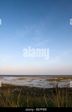 La réserve RSPB Freiston Shore, le lavoir, Lincolnshire, Angleterre. Banque D'Images