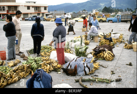 Vendeur de fruits avec de grandes quantités de bananes. Les hautes terres du marché local de l'Equateur Banque D'Images