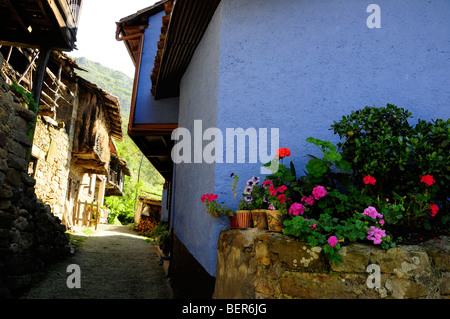 Maisons dans une ville typique des Asturies, Espagne. Banque D'Images
