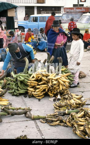 La banane plantain ou vendeur. Hautes terres équatoriennes marché local. Banque D'Images