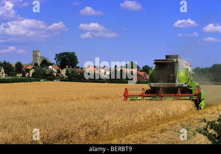 La récolte à la moissonneuse-batteuse champ de blé par le village de walton yorkshire uk Banque D'Images
