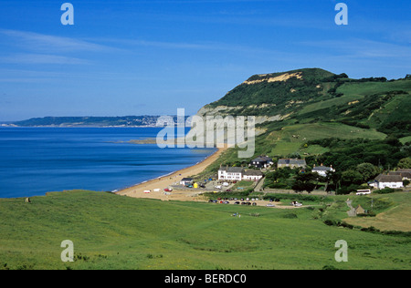 Vue de falaises dominant le hameau de Seatown sur la côte jurassique du Dorset Banque D'Images