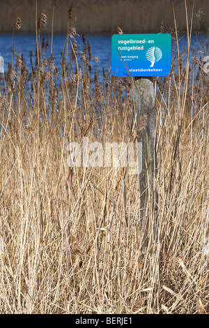 Le panneau d'information dans les Pays-Bas, fringe reed Banque D'Images