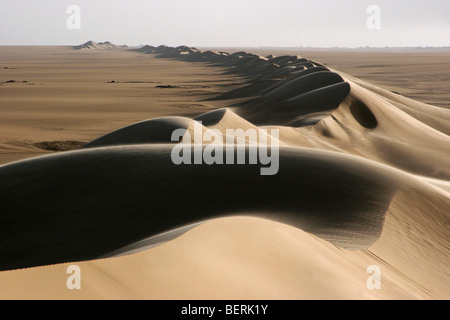 Ceinture de dunes de sable, dans l'Erg de Bilma, une mer de dunes du désert du Ténéré à la région du centre sud du Sahara, Niger, Afrique de l'Ouest Banque D'Images