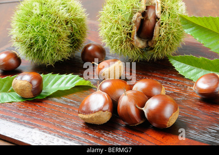 Châtaignes Banque D'Images