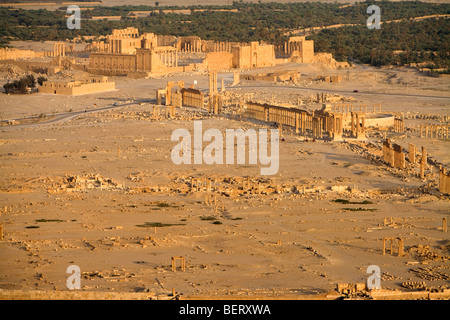 Vestiges romains et site archéologique de Palmyre, en Syrie, au Moyen-Orient, en Asie Banque D'Images