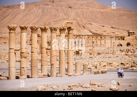 Vestiges romains et site archéologique de Palmyre, en Syrie, au Moyen-Orient, en Asie Banque D'Images