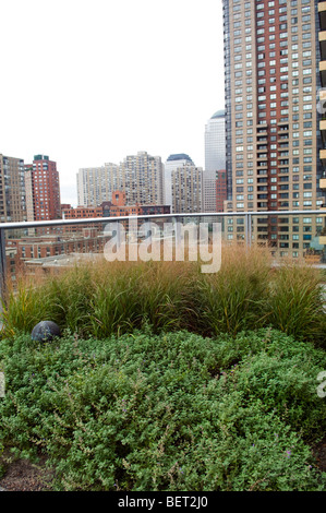 Sur le toit vert visionaire, un bâtiment vert, dans la région de Battery Park City, le samedi 10 octobre 2009. (© Frances M. Roberts) Banque D'Images