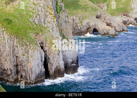 Le parc national Pembrokeshire Coast à Skrinkle Haven, Pembrokeshire, Pays de Galles Banque D'Images