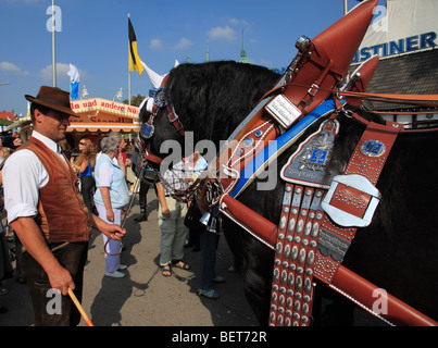 Germany, Bavaria, Munich, Oktoberfest, cheval avec handler Banque D'Images