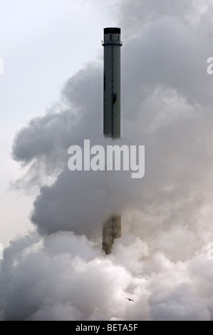 Image conceptuel montrant gull flying en nuage de fumée de cheminée. La pollution de l'industrie pétrochimique Banque D'Images