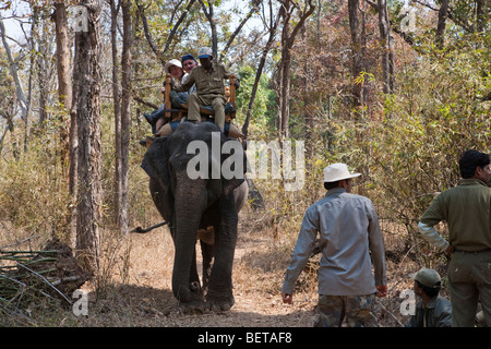 Avec l'éléphant indien dirige Mahout Eco aventure touristes sur la faune safari à travers la forêt rurale dans Kanha National Park dans le Madhya Pradesh Inde Banque D'Images