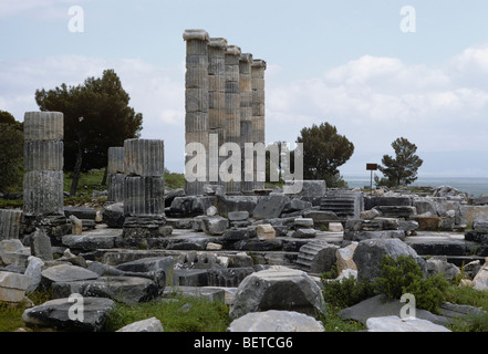 Temple d'Athéna, Priène, Turquie 690418 033 Banque D'Images