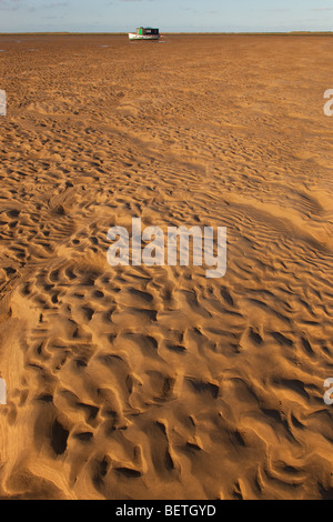 Exposés à marée basse sur le sable Point Blakeney National Nature Reserve Norfolk Banque D'Images