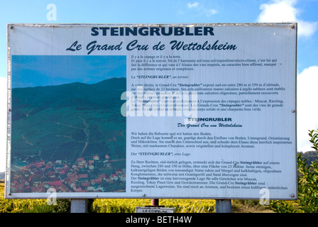 Panneau d'affichage Grand Cru vignobles de Wettolsheim Alsace Haut Rhin France près de château du Haut-Koenigsbourg Banque D'Images