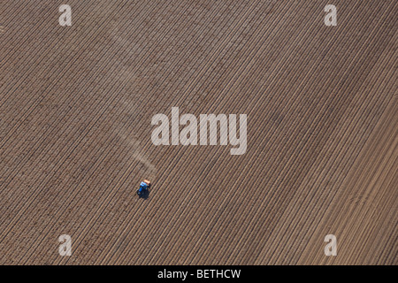 Le tracteur en champ de pommes de terre de l'air de Norfolk Banque D'Images