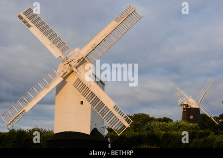 Le cric (à droite) et Jill Moulin (à gauche) qui se tiennent sur les Sussex Downs à Clayton juste au nord de Brighton. Photo Jim Holden. Banque D'Images