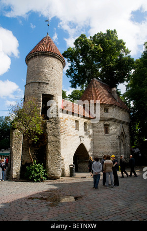 La porte Viru, Tallinn, Estonie Banque D'Images